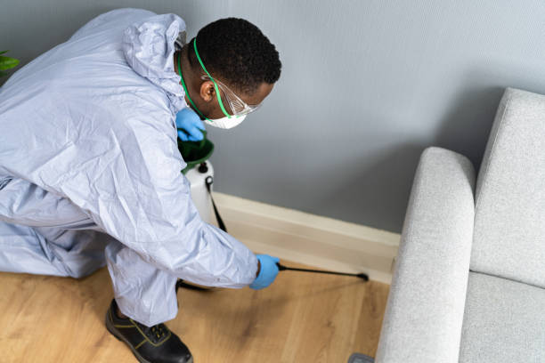 Best Pest Prevention Services  in Tuba City, AZ